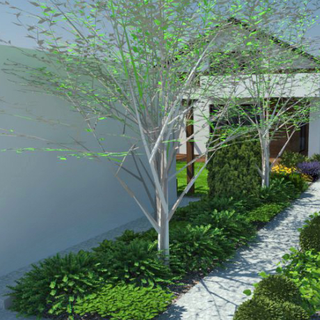 Projekt ogrodu na wąskiej działce