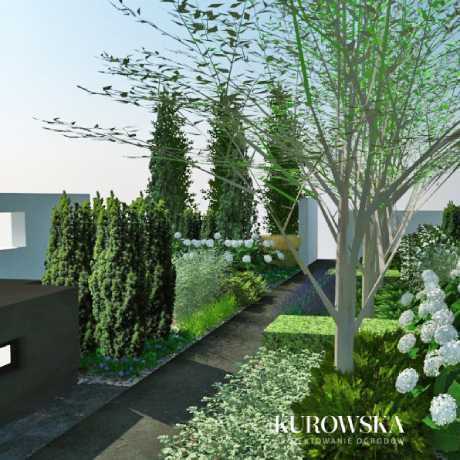 Projekt ogrodu z tarasem od frontu domu